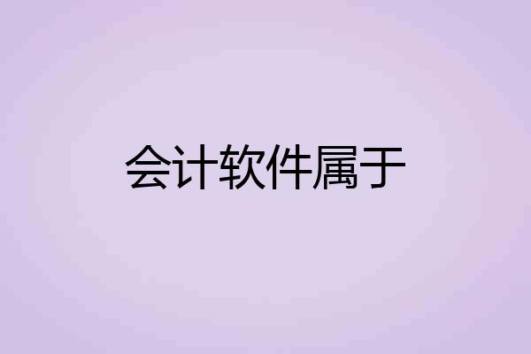 会计软件属于