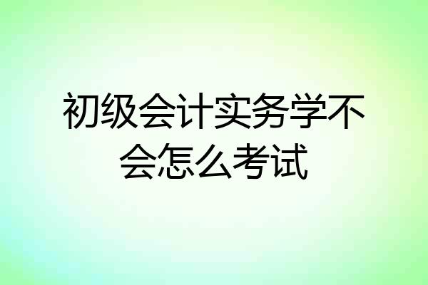初级会计实务学不会怎么考试