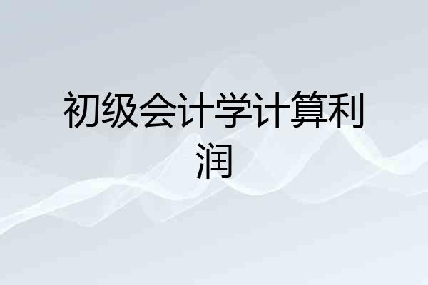 初级会计学计算利润