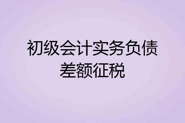初级会计实务负债差额征税