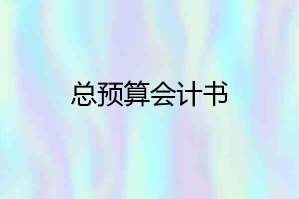 总预算会计书