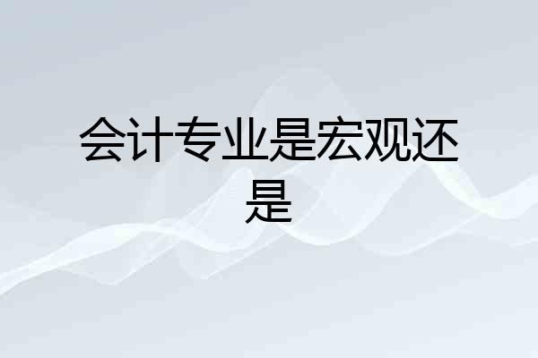 会计专业是宏观还是