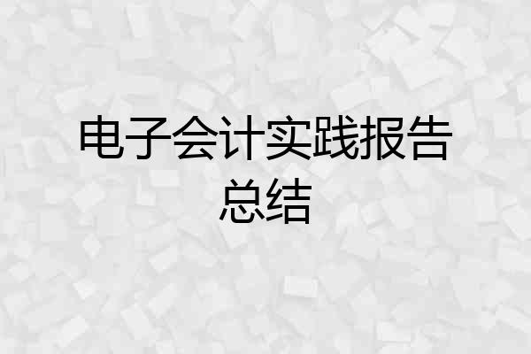 电子会计实践报告总结