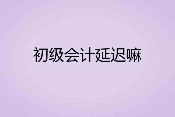 初级会计延迟嘛