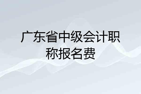广东省中级会计职称报名费