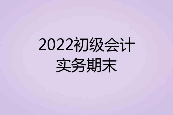2022初级会计实务期末