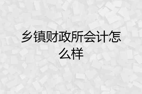 乡镇财政所会计怎么样