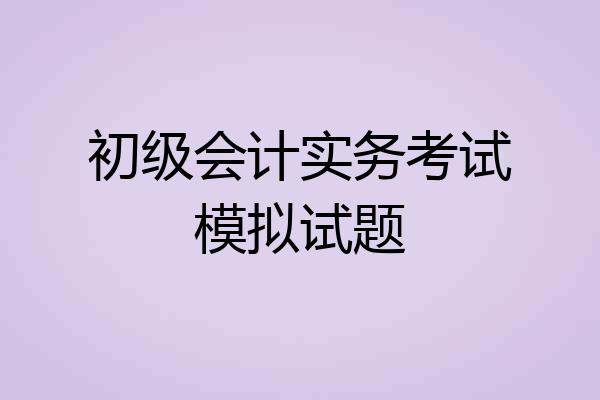 初级会计实务考试模拟试题