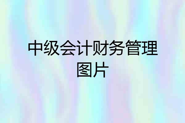 中级会计财务管理图片