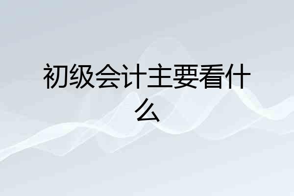 初级会计主要看什么