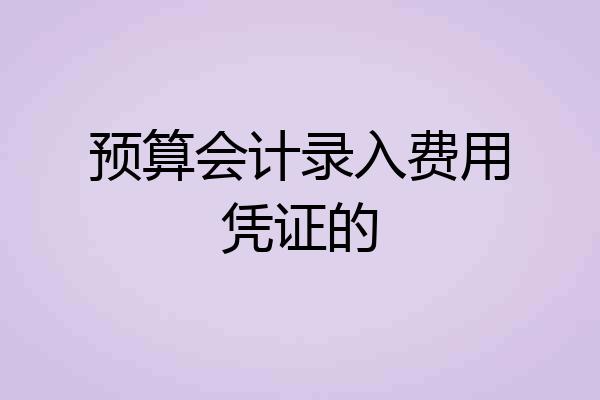 预算会计录入费用凭证的