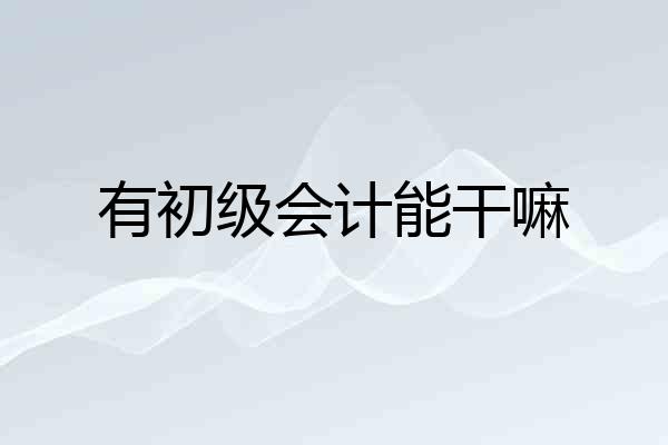 有初级会计能干嘛