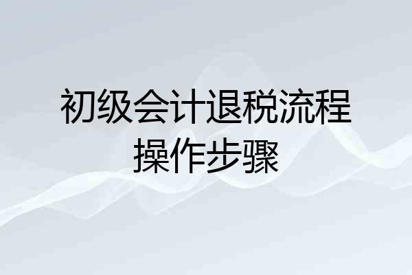 初级会计退税流程操作步骤