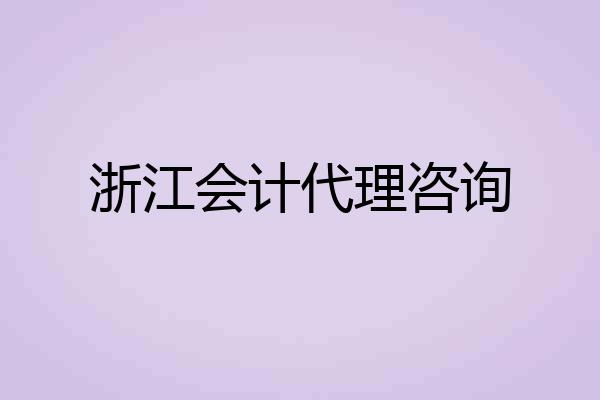 浙江会计代理咨询