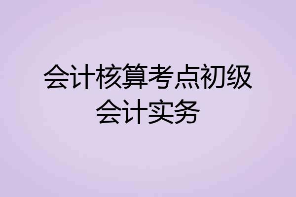 会计核算考点初级会计实务