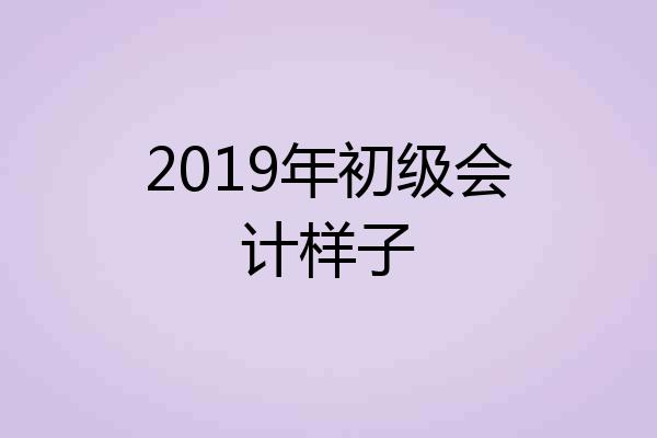 2019年初级会计样子