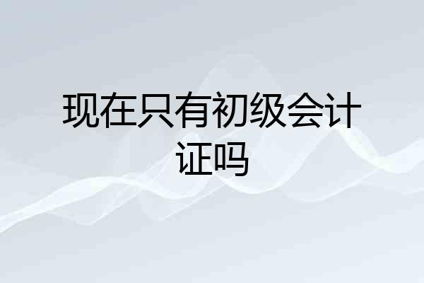 现在只有初级会计证吗