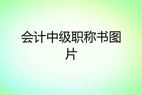 会计中级职称书图片