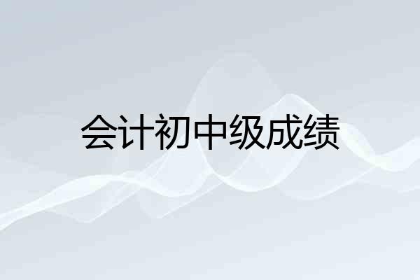 会计初中级成绩