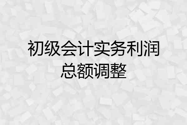 初级会计实务利润总额调整