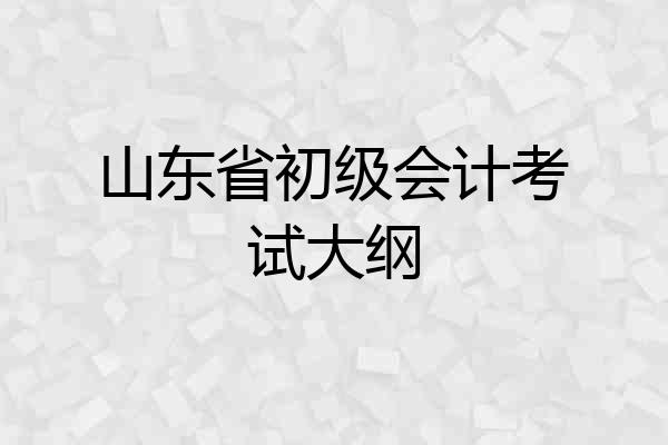山东省初级会计考试大纲