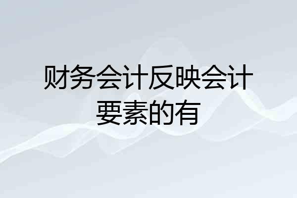 财务会计反映会计要素的有
