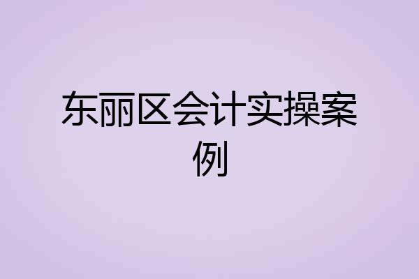 东丽区会计实操案例