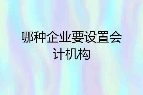 哪种企业要设置会计机构