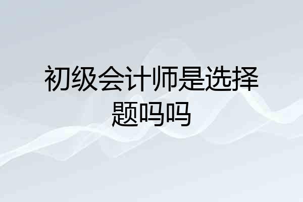 初级会计师是选择题吗吗