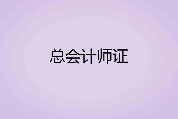 总会计师证