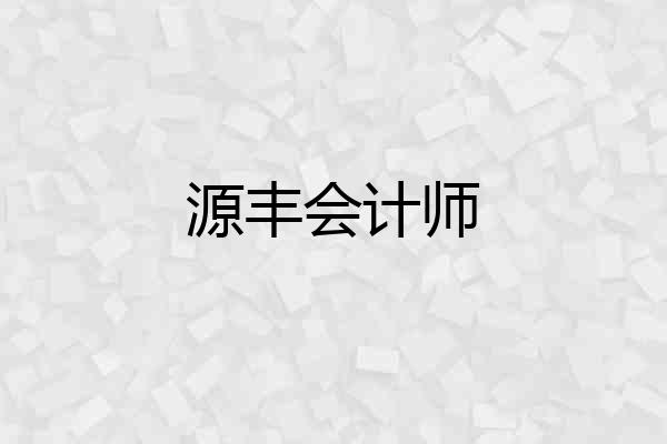 源丰会计师