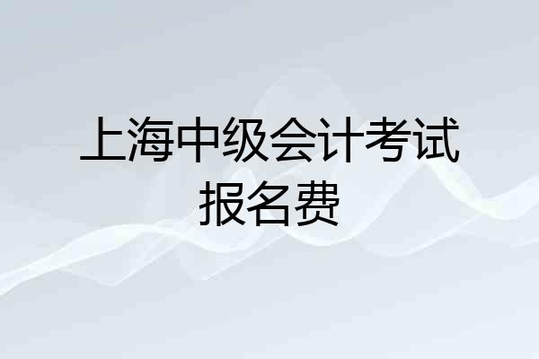 上海中级会计考试报名费
