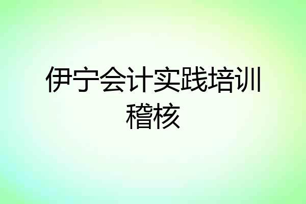 伊宁会计实践培训稽核