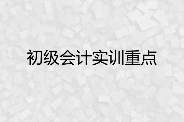 初级会计实训重点