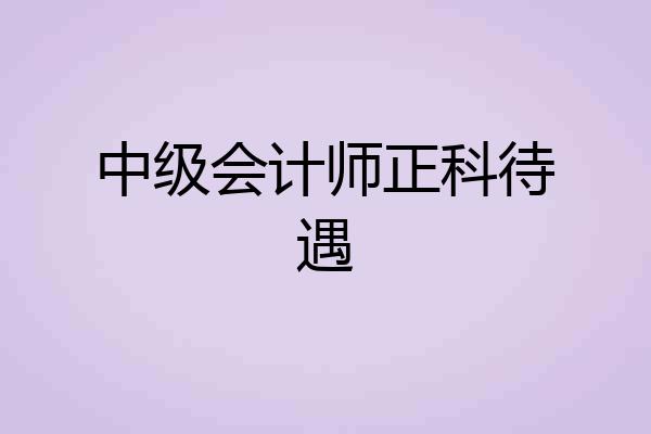 中级会计师正科待遇