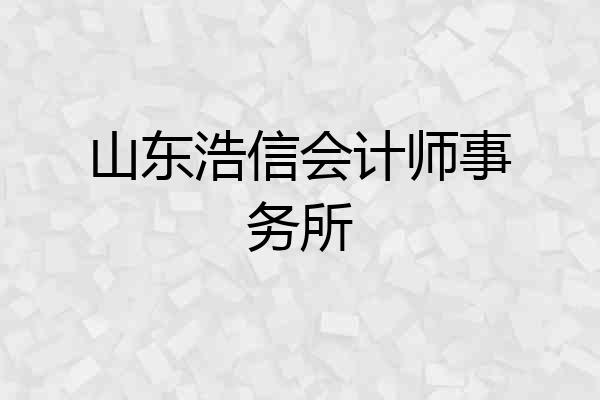 山东浩信会计师事务所