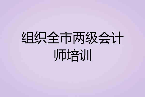 组织全市两级会计师培训