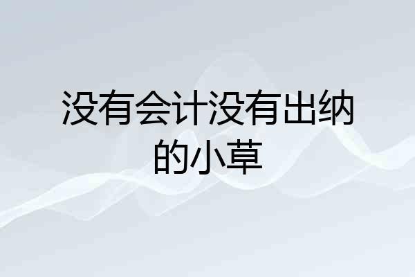 没有会计没有出纳的小草