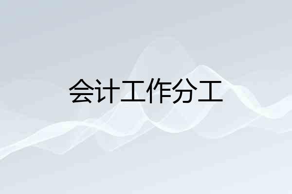 会计工作分工