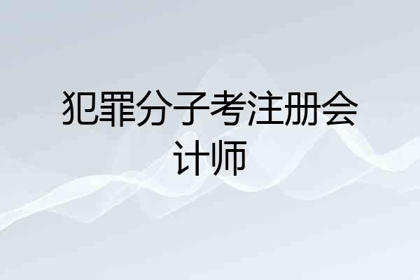 犯罪分子考注册会计师