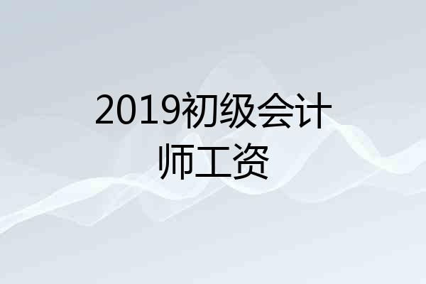 2019初级会计师工资