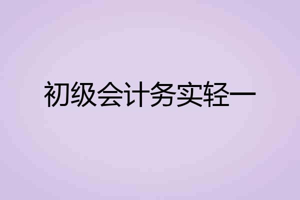 初级会计务实轻一