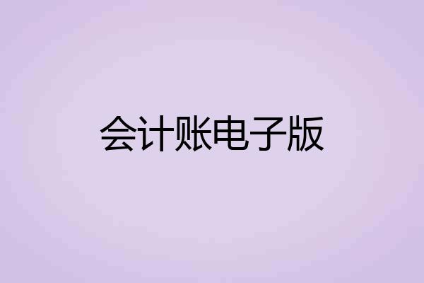 会计账电子版