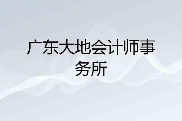 广东大地会计师事务所