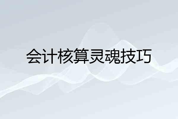 会计核算灵魂技巧