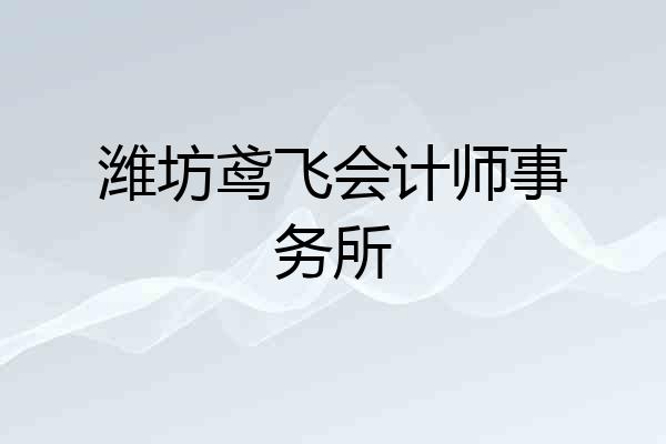 潍坊鸢飞会计师事务所