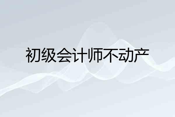 初级会计师不动产