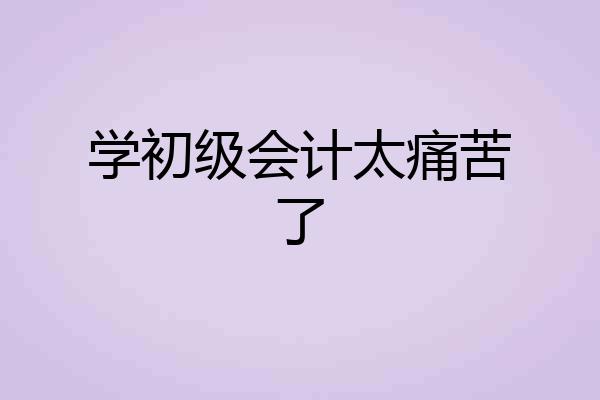 学初级会计太痛苦了