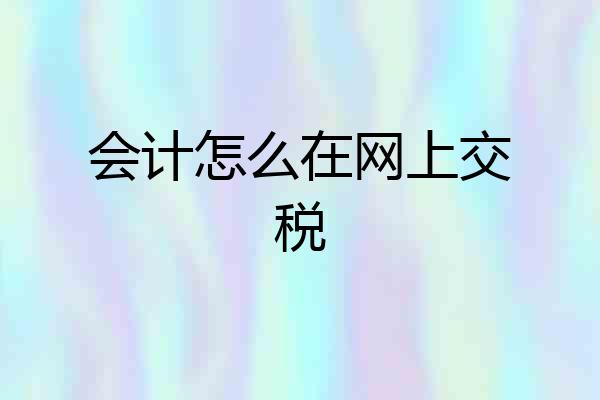 会计怎么在网上交税