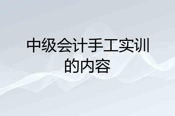 中级会计手工实训的内容